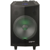 12" Rechargeable PA Speaker with Wireless Microphone (Pro# CS2497)